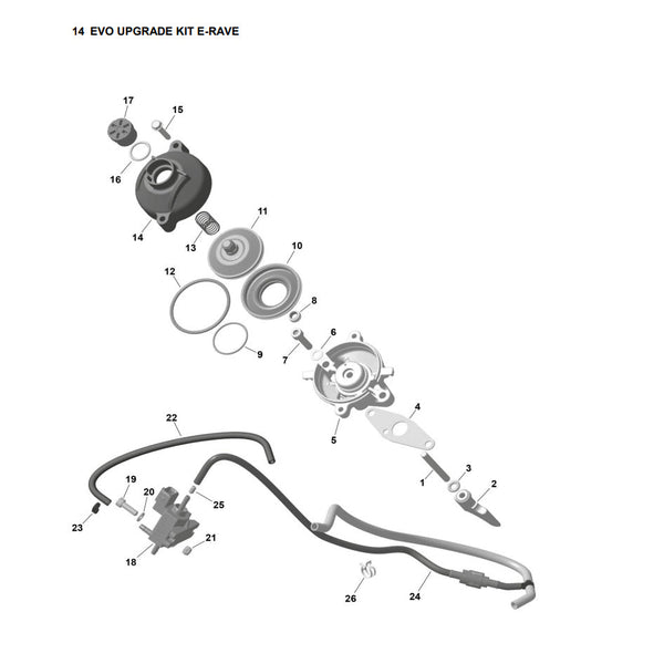 Exhaust Valve & Fuel Pump