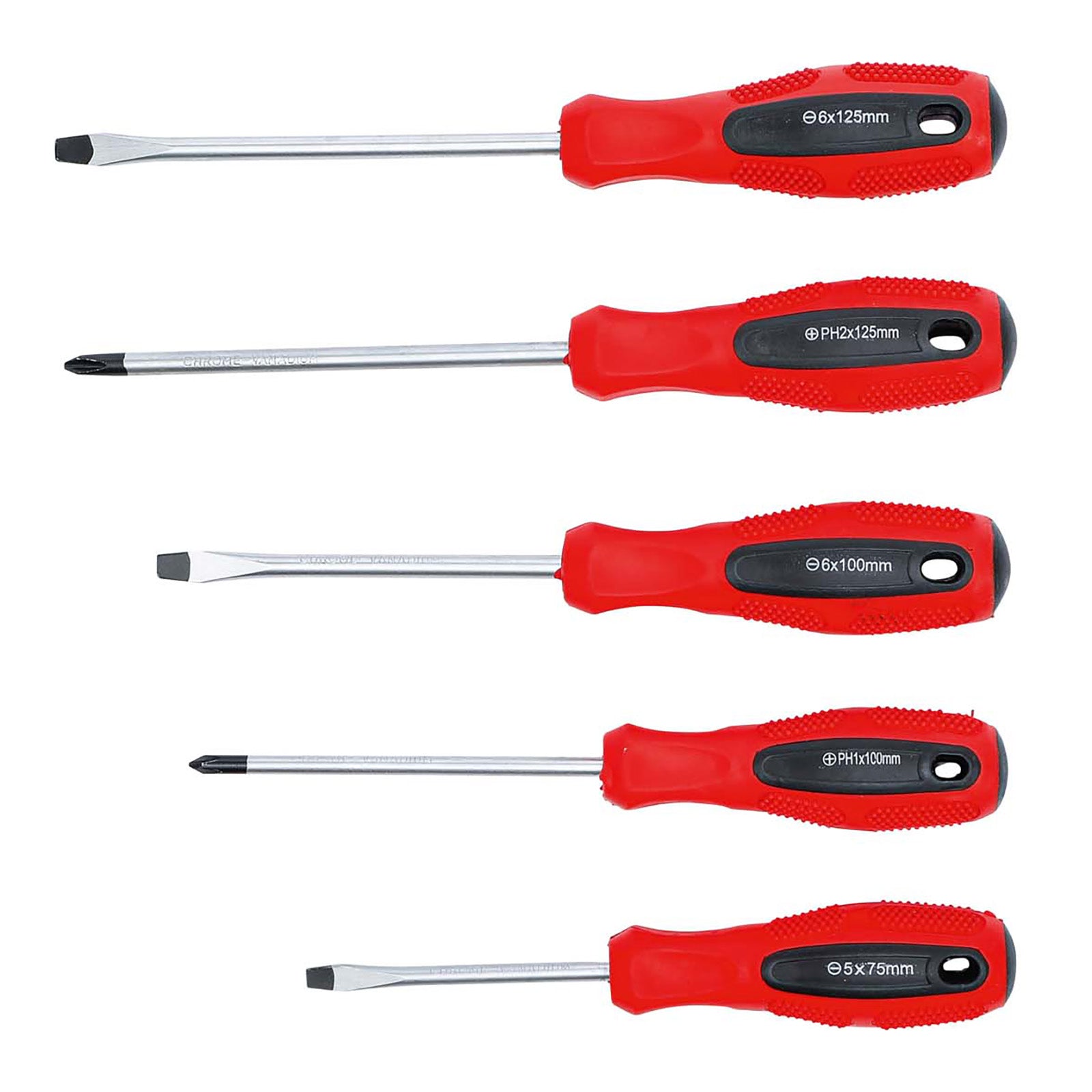 Screw Driver Kit 5 pc