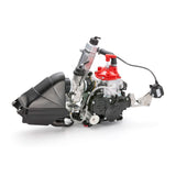 Rotax 125 Max Mini Evo